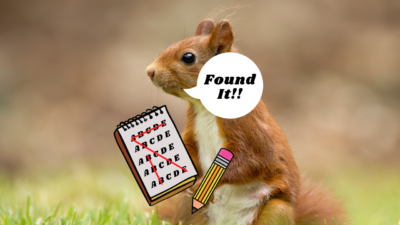 Red Squirrel Word Search