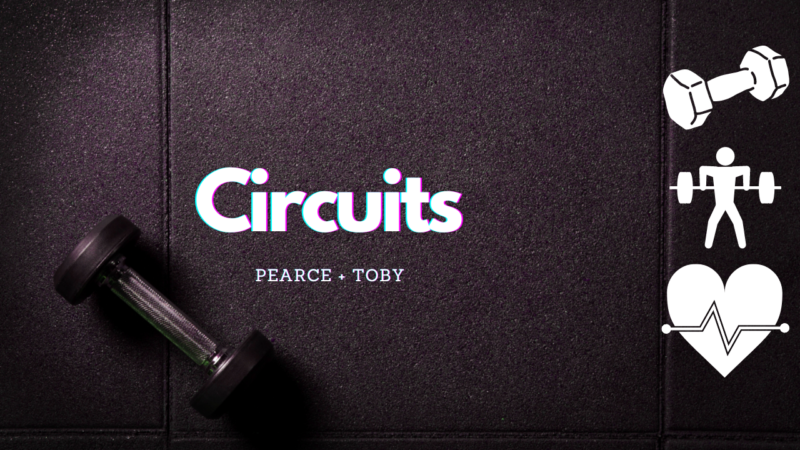 Circuits final