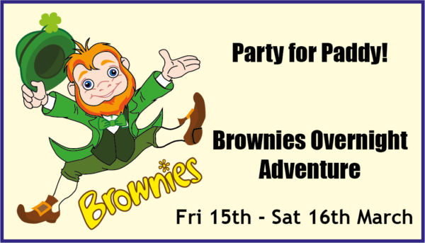 Party for Paddy Brownies