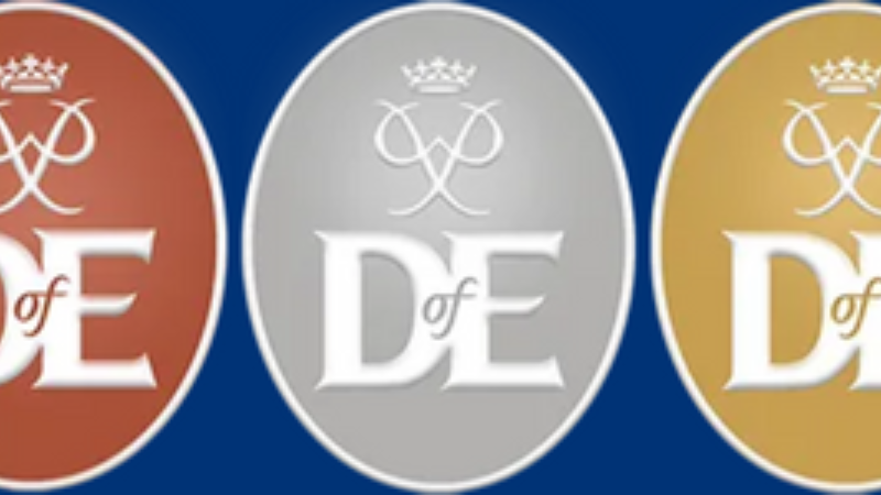 DOFE badges