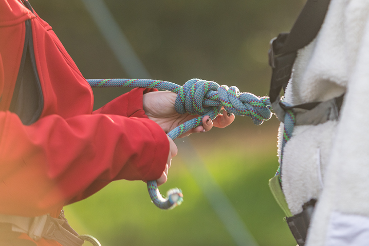 Lorne Climbing Wall 8 small