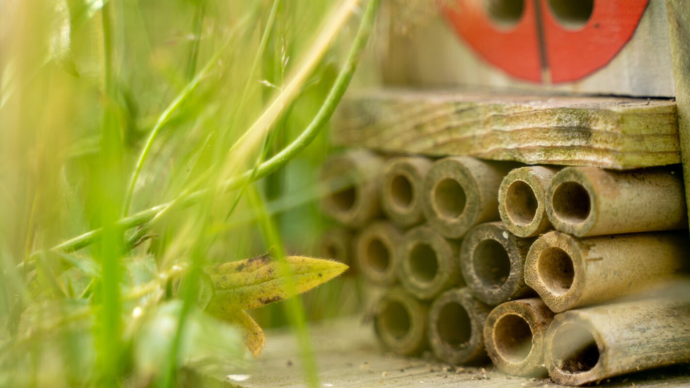 Lorne Estate Photography 71