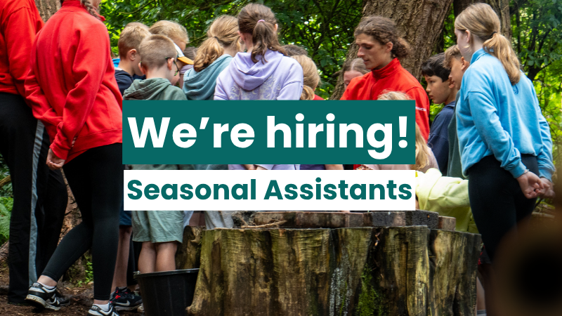 Seasonal assistant lorne web banner 3
